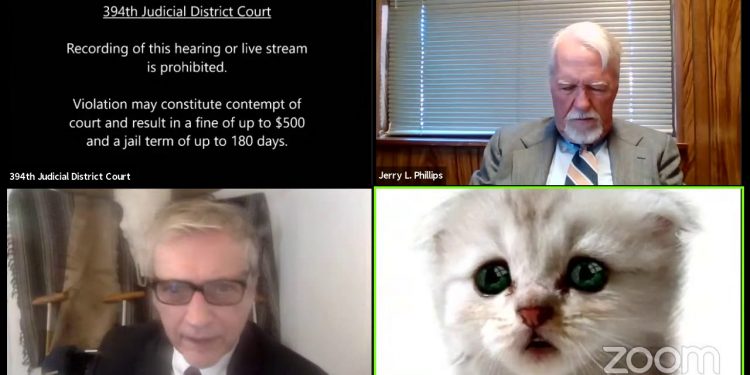 “I am Not a Cat,” Texas Lawyer to a Judge during Virtual Hearing after Zoom Filter Mishap