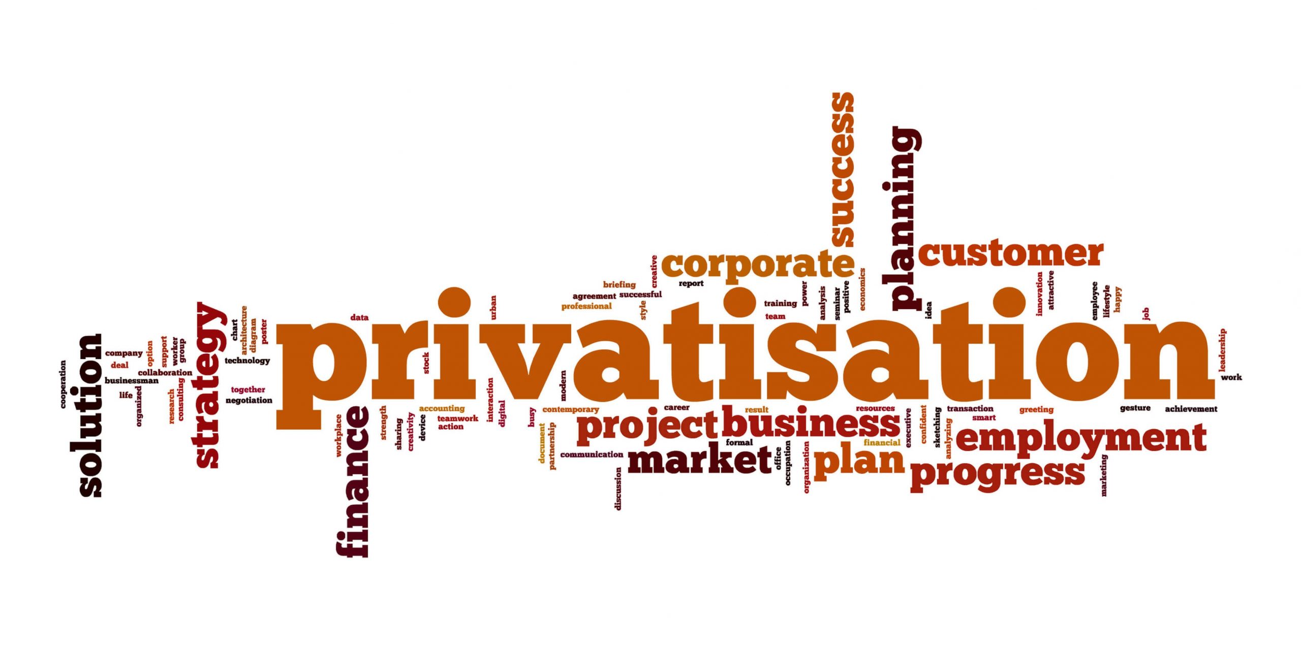 is privatization good or bad