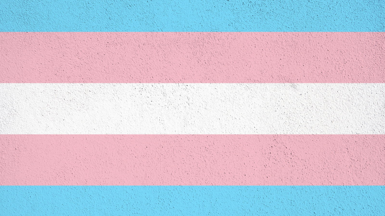 Transgender Flag 1