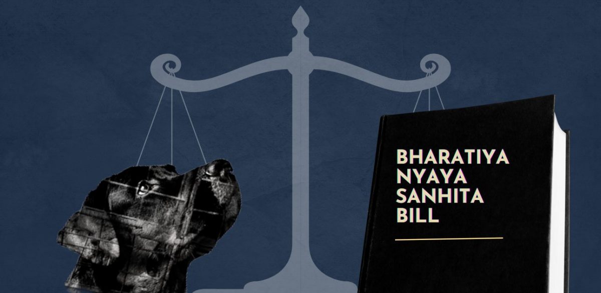 Bharatiya Nyaya Sanhita Bill, 2023 contains no provision on sexual violence  against animals – The Leaflet